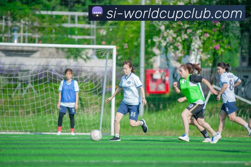 多媒体互动体验